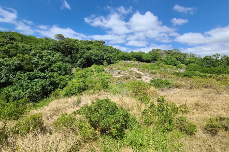 0 Bedroom Property for Sale in Paradise Beach Eastern Cape